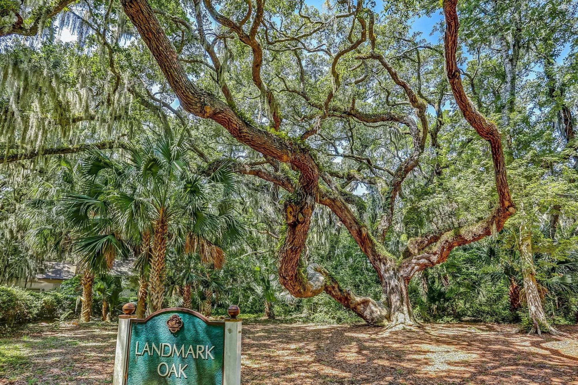 Pool View Beachwood Condo Fernandina Beach Exterior foto